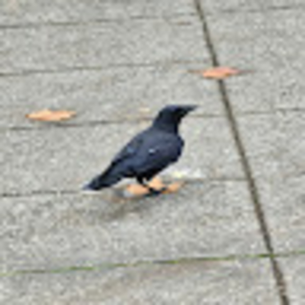 Meet your Posher, Jose luis